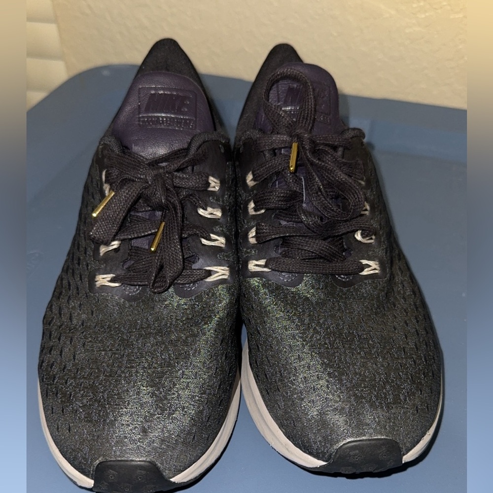 Nike Pegasus